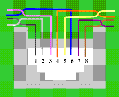 PTR2
